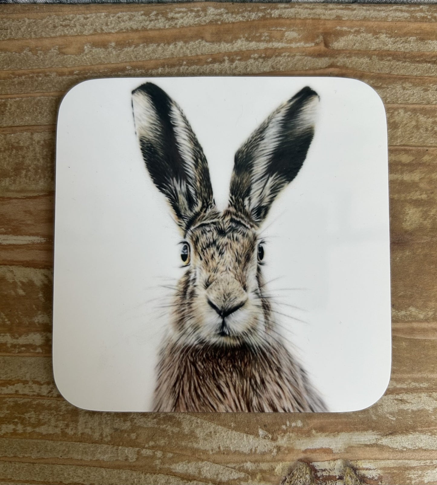 Alert Hare Coaster