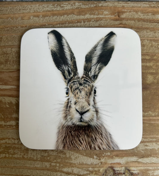 Alert Hare Coaster