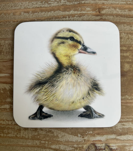 Duckling Coaster