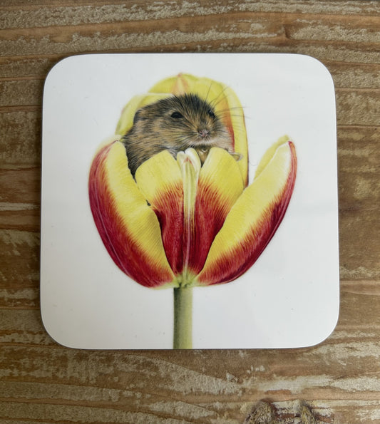 Getting cosy Coaster