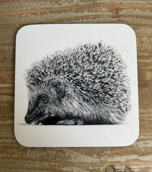 Hedgehog Coaster
