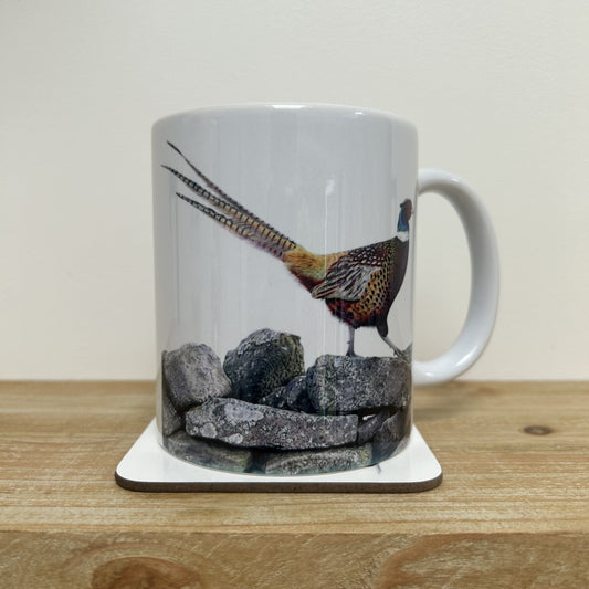 Strolling Along Mug