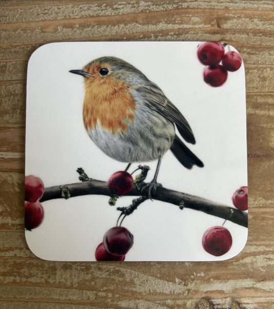 Winter Robin Coaster